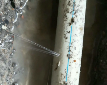 和平卫生间测漏水多少钱